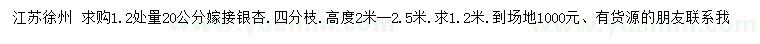 求购1.2米量20公分嫁接银杏