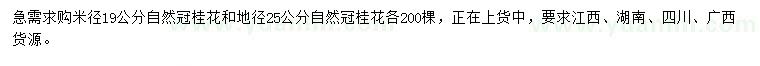 求购米径19公分、地径25公分桂花树