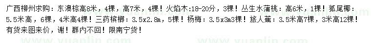 求购东澳棕、火焰木、丛生水蒲桃等