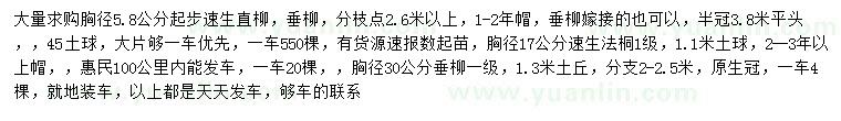 求购速生直柳、垂柳、速生法桐