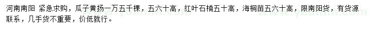 求购瓜子黄扬、红叶石楠、海桐苗