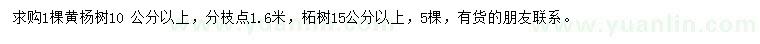 求购10公分以上黄杨、15公分以上柘树