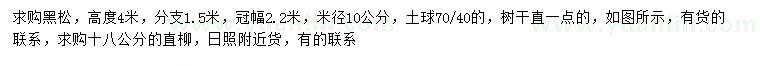 求购高度4米黑松、18公分直柳