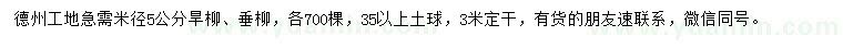 求购米径5公分旱柳、垂柳