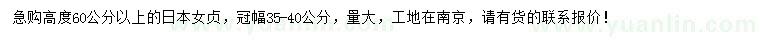 求购高度60公分以上日本女贞