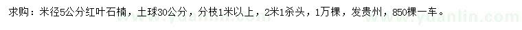 求购米径5公分红叶石楠