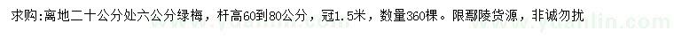 求购20公分量6公分绿梅