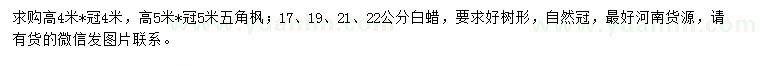 求购高4、5米五角枫、17、19、21、22公分白蜡