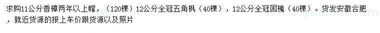 求购香樟、五角枫、国槐