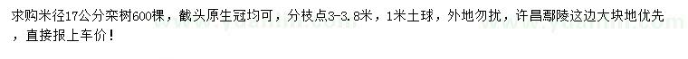 求购米径17公分栾树