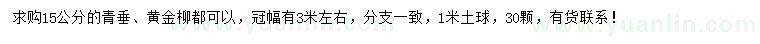 求购15公分青垂、黄金柳