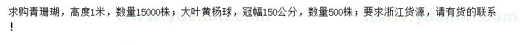 求购高度100公分青珊瑚、冠幅150公分大叶黄杨球