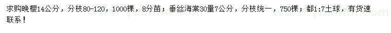 求购14公分晚樱、30量7公分垂丝海棠