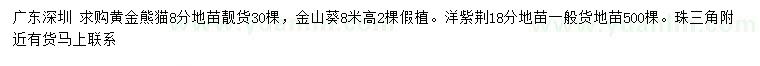 求购黄金熊猫、金山葵、洋紫荆