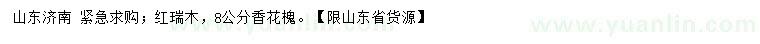 求购红瑞木、8公分香花槐