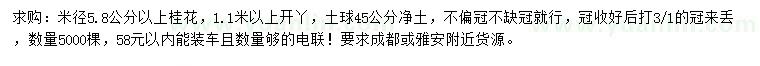 求购米径5.8公分以上桂花