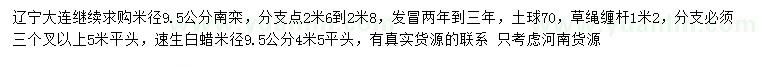 求购米径9.5公分南栾、速生白蜡