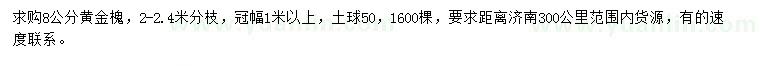 求购8公分黄金槐