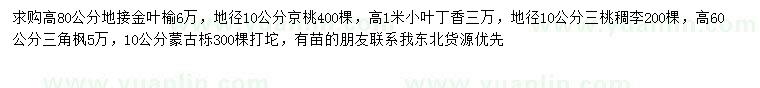 求购地接金叶榆、京桃、小叶丁香等