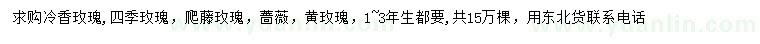 求购冷香玫瑰、四季玫瑰、爬藤玫瑰等