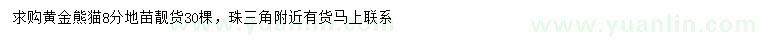 求购8公分黄金熊猫