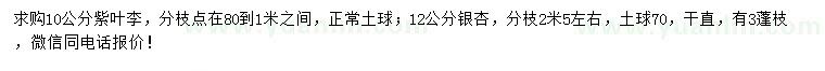 求购10公分紫叶李、12公分银杏