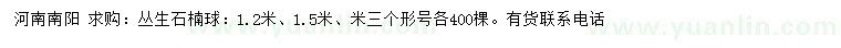 求购1.2、1.5、2米丛生石楠球