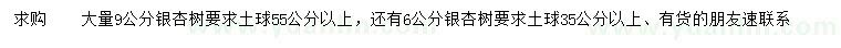 求购6、9公分银杏