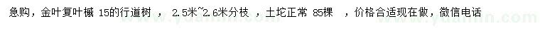 求购15公分金叶复叶槭