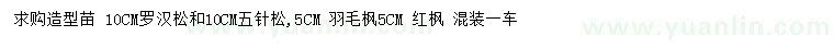 求购罗汉松、五针松、羽毛枫等