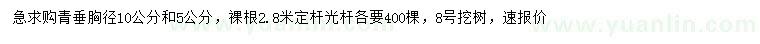 求购胸径5、10公分青垂