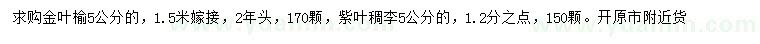 求购5公分金叶榆、5公分紫叶稠李