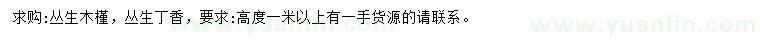 求购高度1米以上丛生木槿、丛生丁香