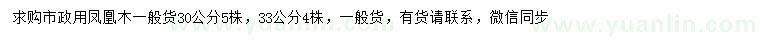 求购30、33公分凤凰木