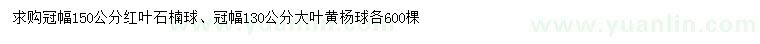 求购冠幅150公分红叶石楠球、冠幅130公分大叶黄杨球