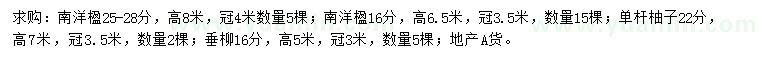 求购南洋楹、单杆柚子、垂柳