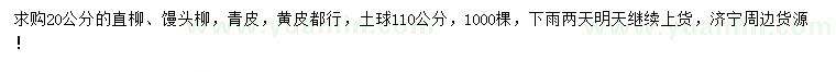 求购20公分直柳、馒头柳