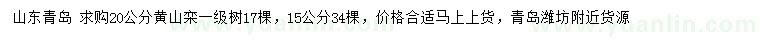 求购15、20公分黄山栾