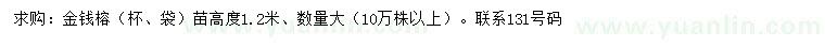 求购高1.2米金钱榕