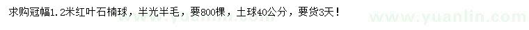 求购冠幅1.2米红叶石楠球