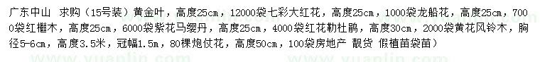 求购黄金叶、七彩大红花、龙船花等