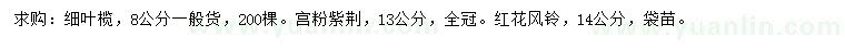 求购细叶榄、宫粉紫荆、红花风铃