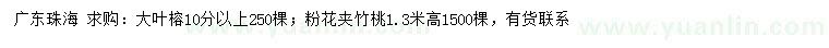 求购10公分以上大叶榕、高1.3米粉花夹竹桃