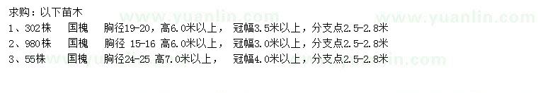 求购胸径15-16、19-20、24-25公分国槐