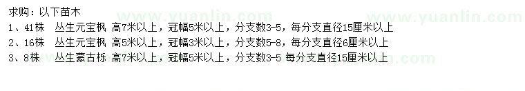 求购高5、7米以上丛生元宝枫、7米以上蒙古栎