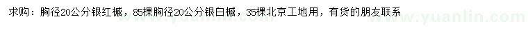 求购胸径20公分银红槭、胸径20公分银白槭