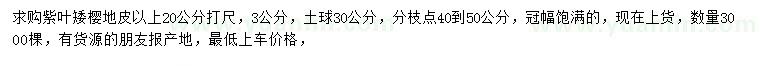 求购20公分量3公分紫叶矮樱