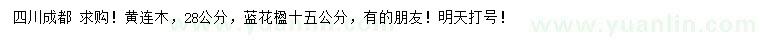 求购28公分黄连木、15公分蓝花楹