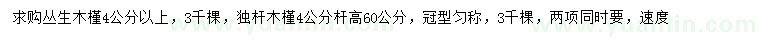 求购4公分以上丛生木槿、独杆木槿