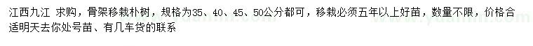 求购35、40、45、50公分朴树